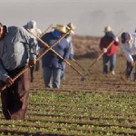 Heat safety: A universal issue that requires an individual approach