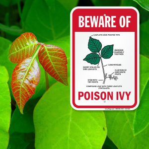beware-of-poison-ivy Beware of Poison Ivy Sign