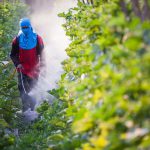 Say no to pesticide spraying effortlessly
