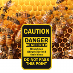 Stinging Insects